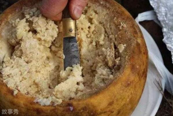 网络图片(侵删)