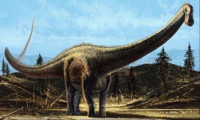 ​世界10大最大的恐龙，阿根廷龙身长约12米重100吨