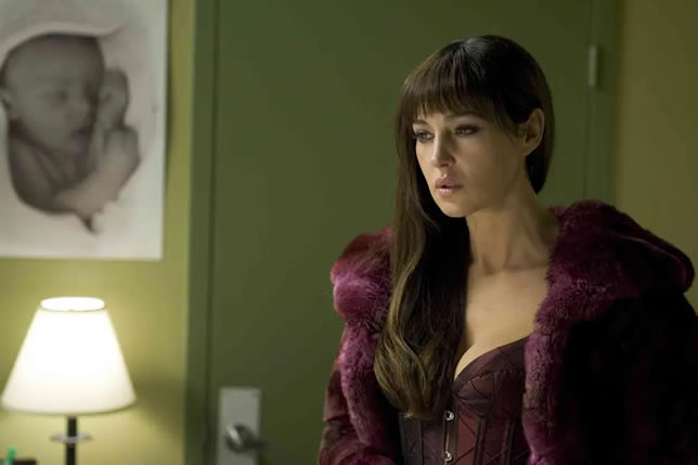 网络图片(侵删)