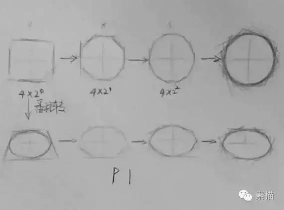 从零基础学素描的步骤（零基础自学素描小常识分享素描）(19)