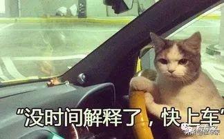 宁波二手车套路有哪些（深度揭秘宁波二手车套路）(3)