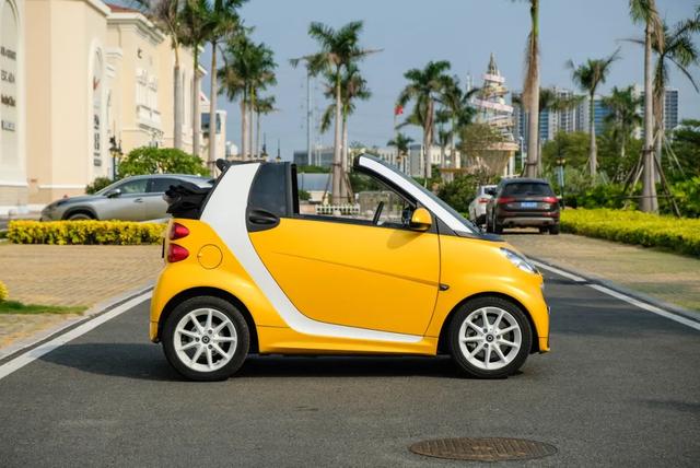 汽车之家smart二手车（向往天空自由的小可爱）(12)