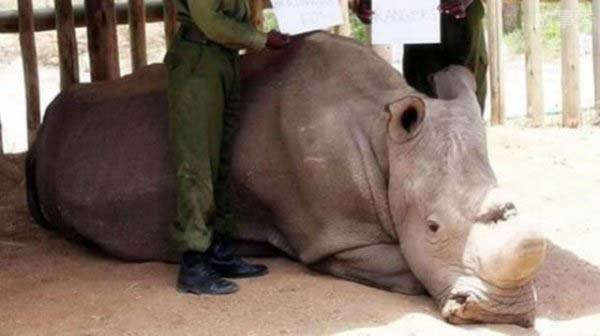 网络图片(侵删)