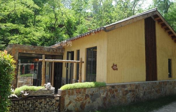 网络图片(侵删)