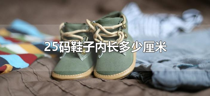 25码鞋子内长多少厘米 25码鞋子内长多少厘米