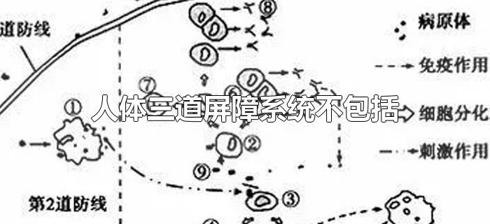 人体三道屏障系统不包括