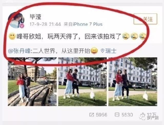 张丹峰妻子洪欣现状（张丹峰的妻子终于发声了）(23)