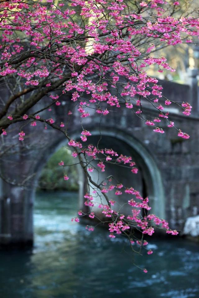 各类门诊部诊所即日起全面停诊（早读社注意啦）(4)