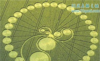 ​麦田怪圈之谜 到底是报酬仍旧外星人佳构?