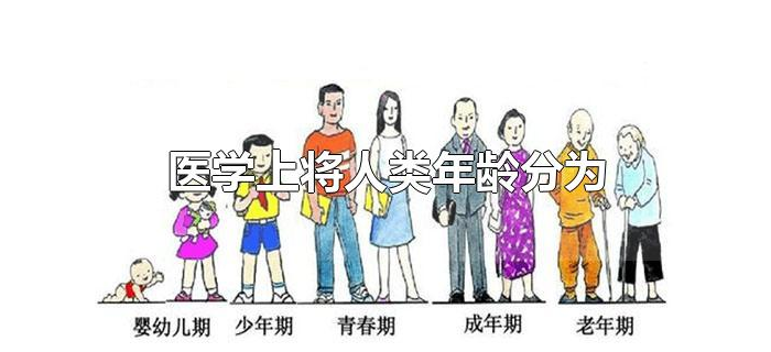 医学上将人类年龄分为