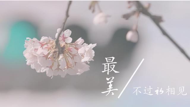 何事秋风悲画扇全诗意思(人生若只如初见)(1)