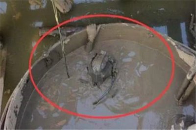 ​科学阐明工地水鬼为什么没有能救 简直缘故是什么