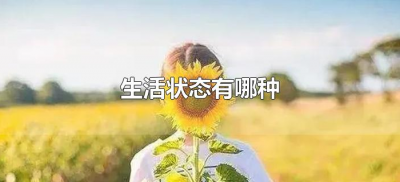 ​生活状态有哪种（理想的生活状态是什么样的）