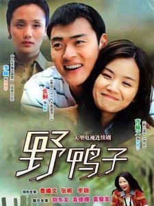 ​曹曦文参演的电视剧盘点（曹曦文演的最好的并非野鸭子）