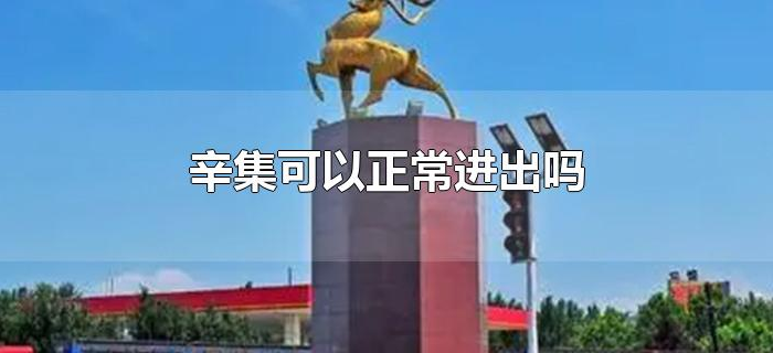 辛集可以正常进出吗