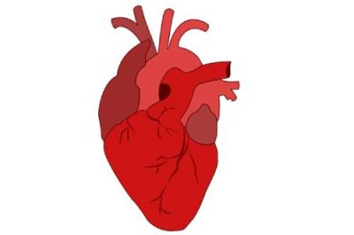 ​心脏肥大是怎么回事能不能治好（心脏肥大能治好吗?）