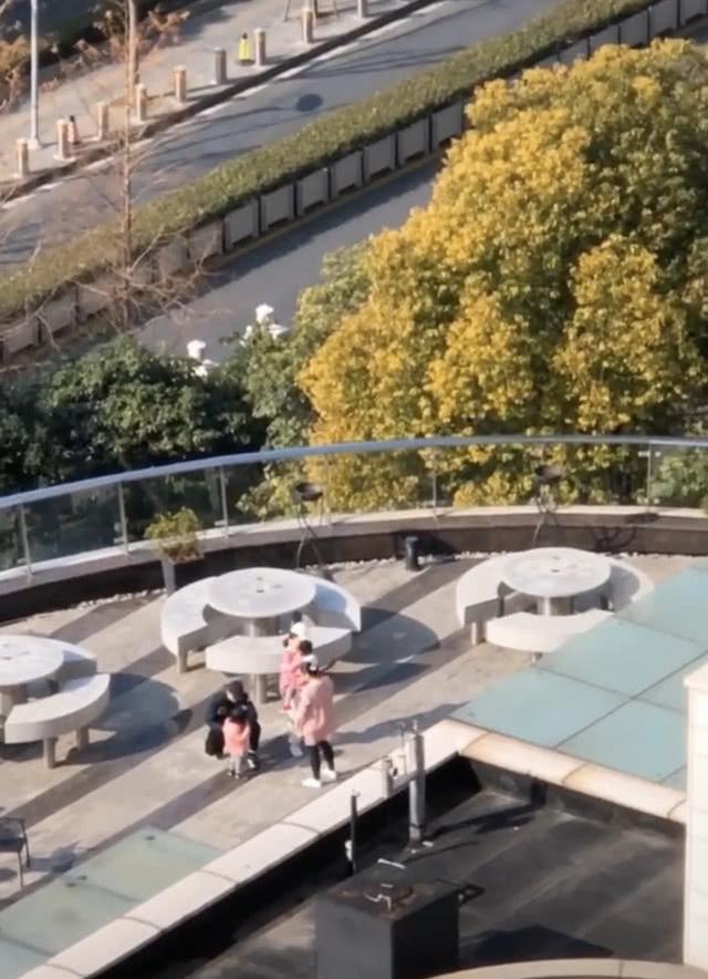 张杰与谢娜是一家四口（网友拍到张杰谢娜带两女儿在楼顶晒太阳）(11)