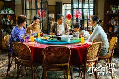 电视剧小舍得大结局(电视剧小舍得)