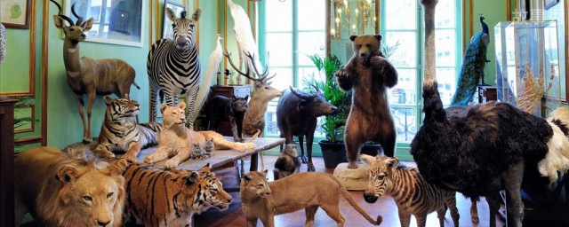 网络图片(侵删)