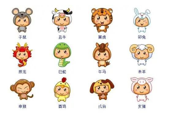 网络图片(侵删)