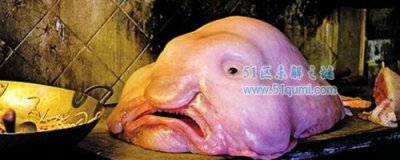 ​（水点鱼:世界上最丑恶的鱼 （水点鱼不妨吃吗?