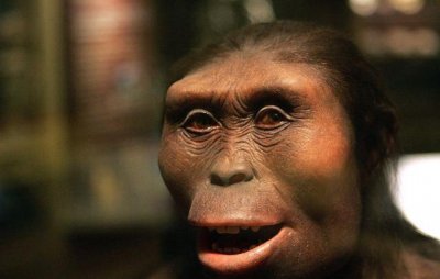 ​十万年后的人类会长成什么相貌？没有忍直视！