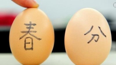 科学阐明春分竖蛋,鸡蛋在所有成天都能竖起来_无聊赖表面