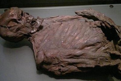 俄老太死13年无人清楚,尸身溃烂形成木乃伊_恐惧