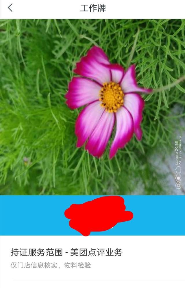 在家做的工作，在家做的兼职工作有哪些？图4