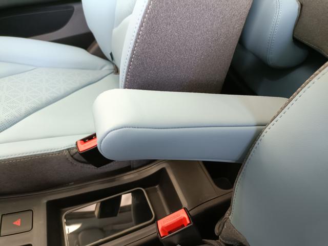 奇瑞小蚂蚁电动车价格（实拍奇瑞小蚂蚁6.69万元起）(5)