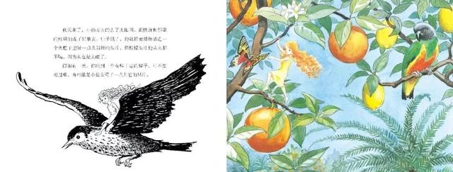 张泉灵说过的话(张泉灵给儿子的信)(7)