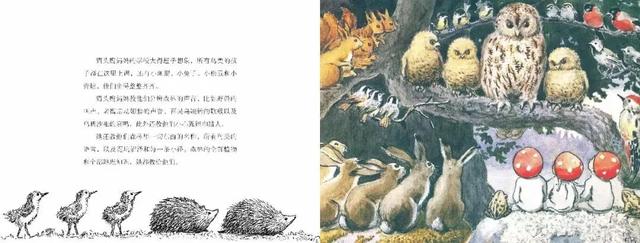 张泉灵说过的话(张泉灵给儿子的信)(19)