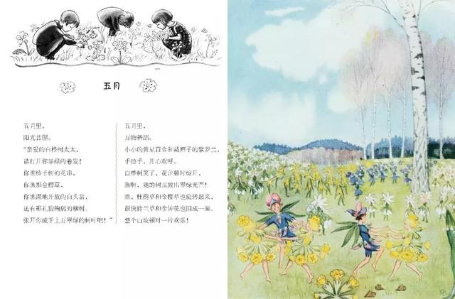 张泉灵说过的话(张泉灵给儿子的信)(33)