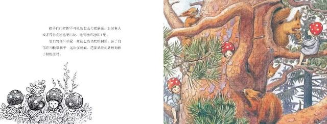 张泉灵说过的话(张泉灵给儿子的信)(21)