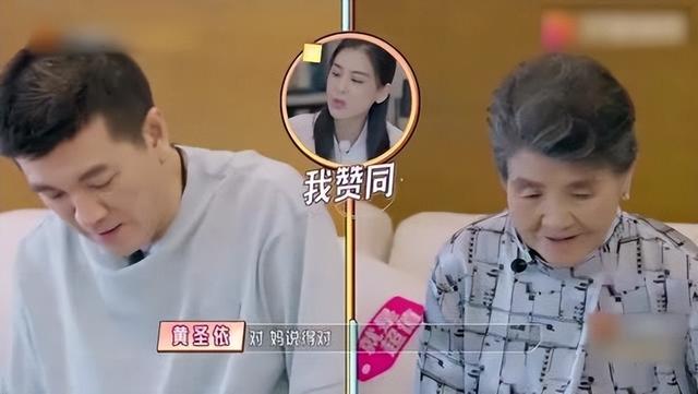 黄圣依周星驰官司谁赢了(周星驰捧红后嫁二婚杨子)(35)