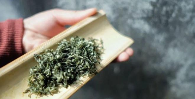 蜜蜂喜欢什么气味