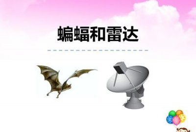 蝙蝠和雷达有什么关系,蝙蝠和雷达之间有什么关系呢用一句话回答
