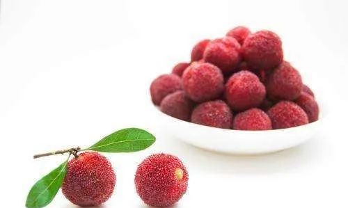 杨梅干怎么保存不会变质