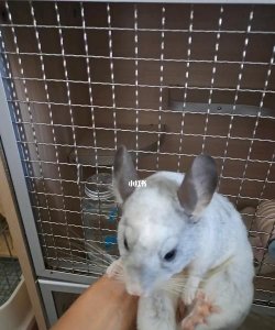 倒立喝水,宇航员在太空怎样行走喝水洗澡的?