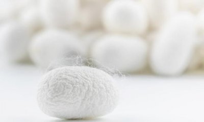 桑蚕丝的优缺点,百分百桑蚕丝衣服的优缺点?