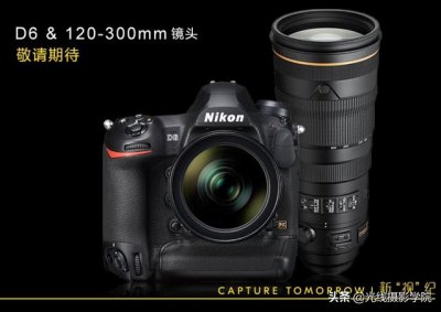 尼康的入门级单反相机推荐(尼康数码单反相机)