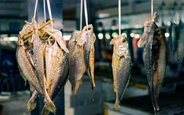 臭乳虾是什么,臭鱼烂虾什么意思啊图3