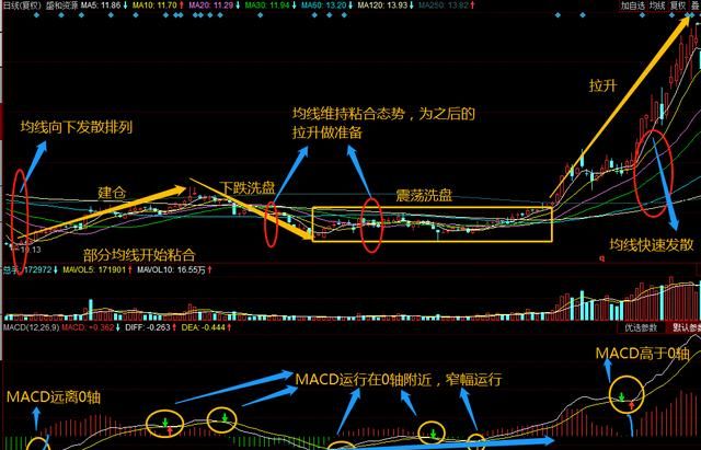 煮熟的海虹隔夜能吃吗,鲜海虹能放冰箱过夜吗,第二天再煮还能吃不?图5