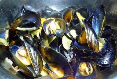 海虹买回家可以隔夜吗