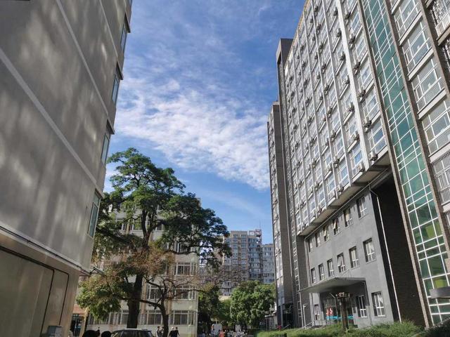 距离产生美深度好文(距离产生美)(1)