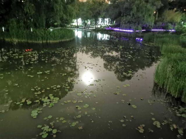 距离产生美深度好文(距离产生美)(3)