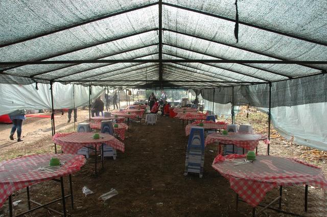 农村适合做什么生意热销项目(今年农村新商机)(6)