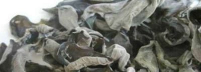 如何判断干木耳变质了,如何判断干木耳是否变质