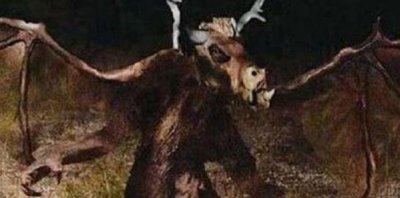 ​神奇生物之泽西魔鬼，传闻是蝙蝠和马的杂接种类_超怪僻