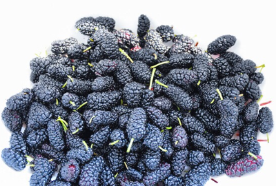 桑葚怎样泡酒,桑葚泡酒的方法和配比图6